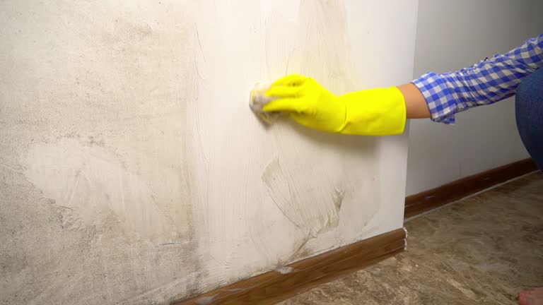 Best Mold Remediation for Healthcare Facilities  in Sylacauga, AL