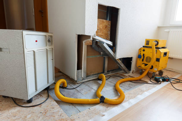 Best Environmental Consulting for Mold Prevention  in Sylacauga, AL